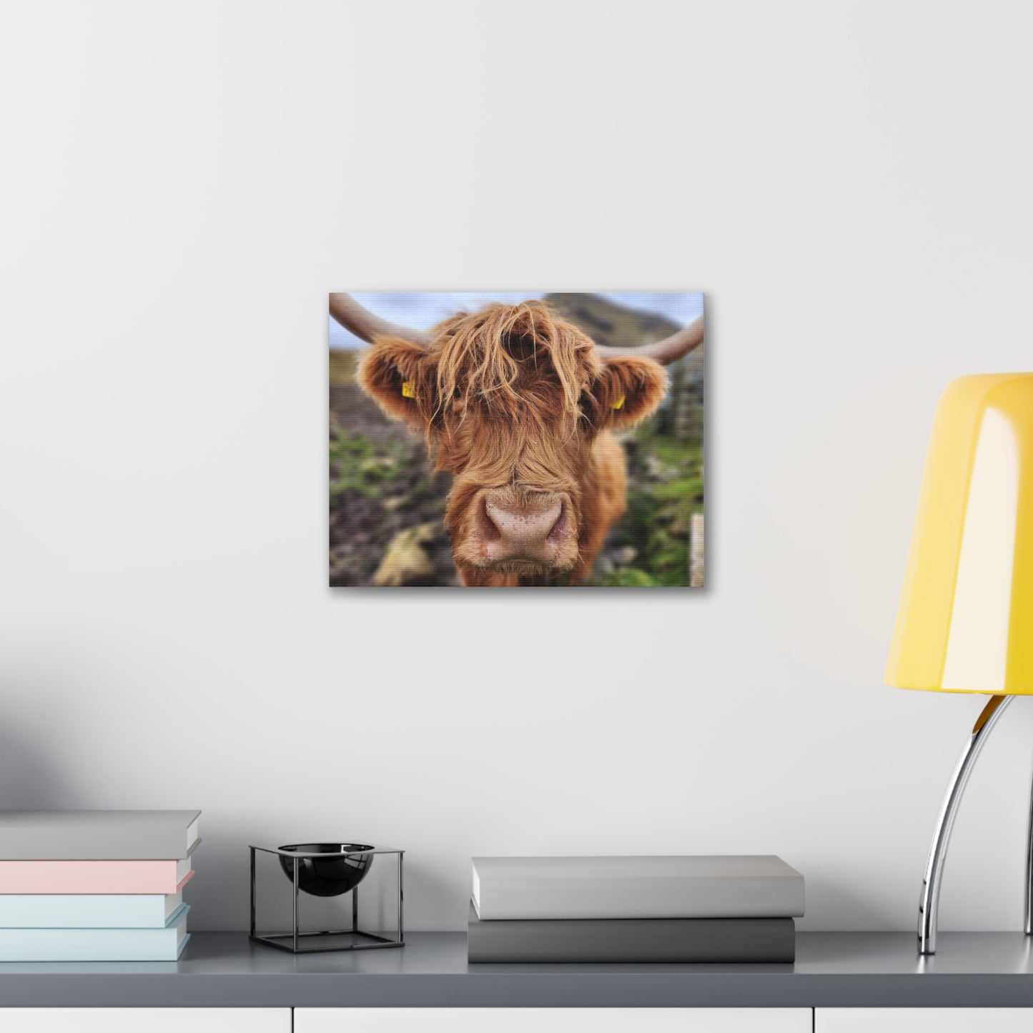 Highland Cattle Canvas Gallery Wraps