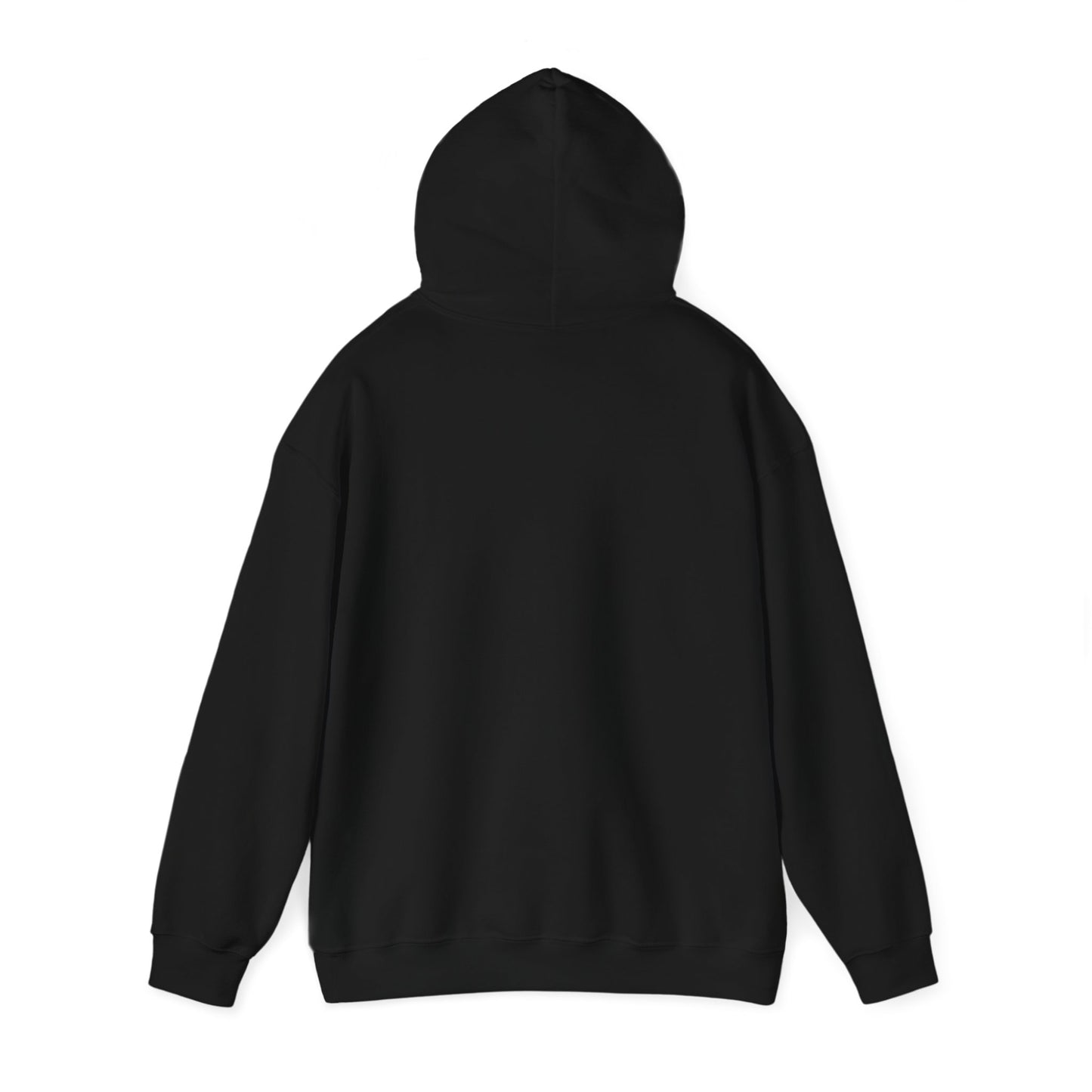 Future Professional Gifts Adult Hoodies