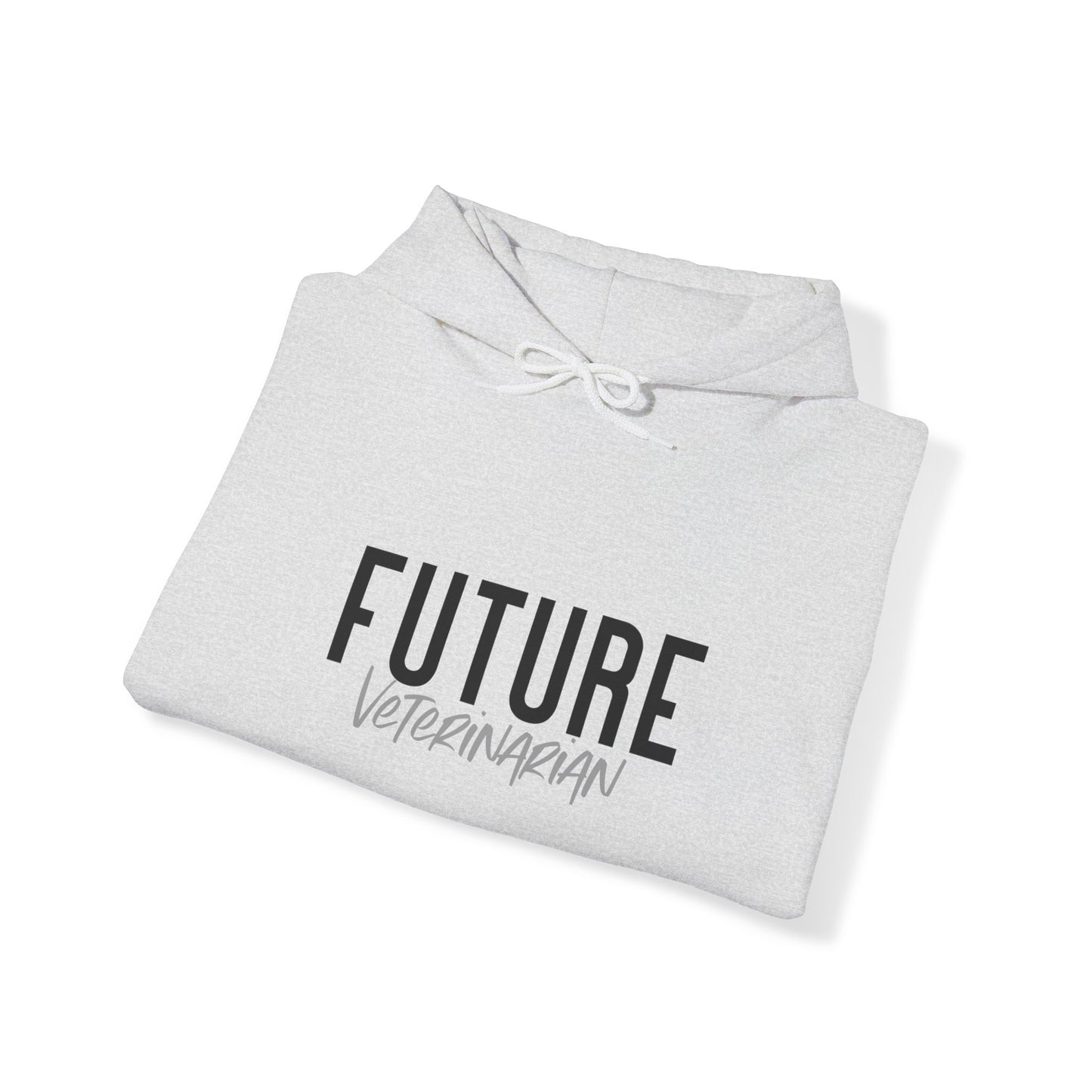 Future Professional Gifts Adult Hoodies