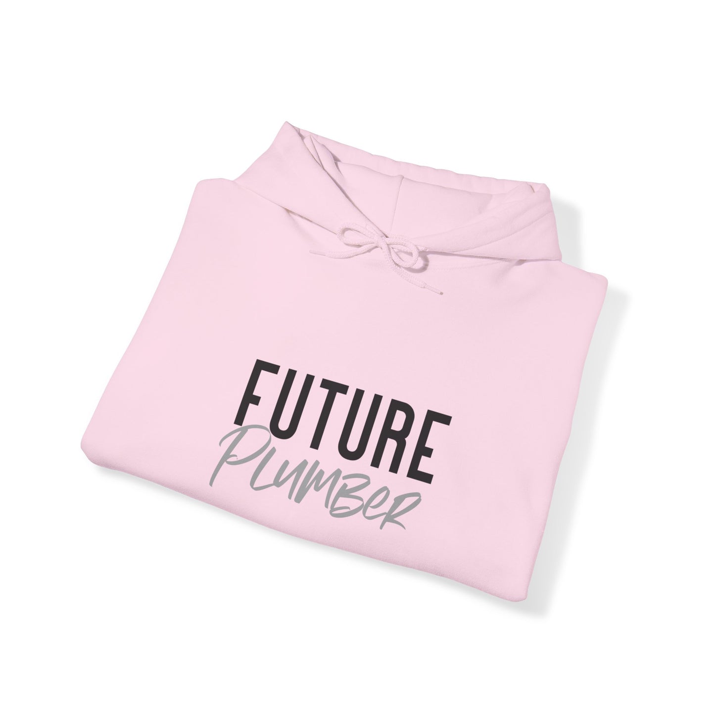 Future Professional Gifts Adult Hoodies