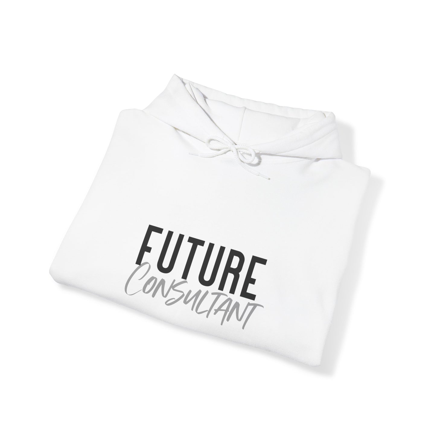 Future Professional Gifts Adult Hoodies