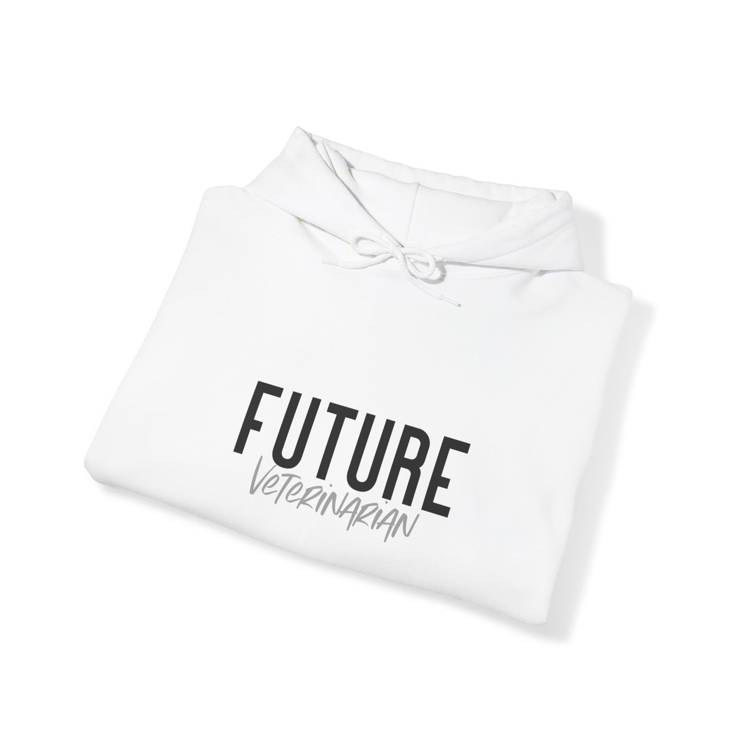 Future Professional Gifts Adult Hoodies