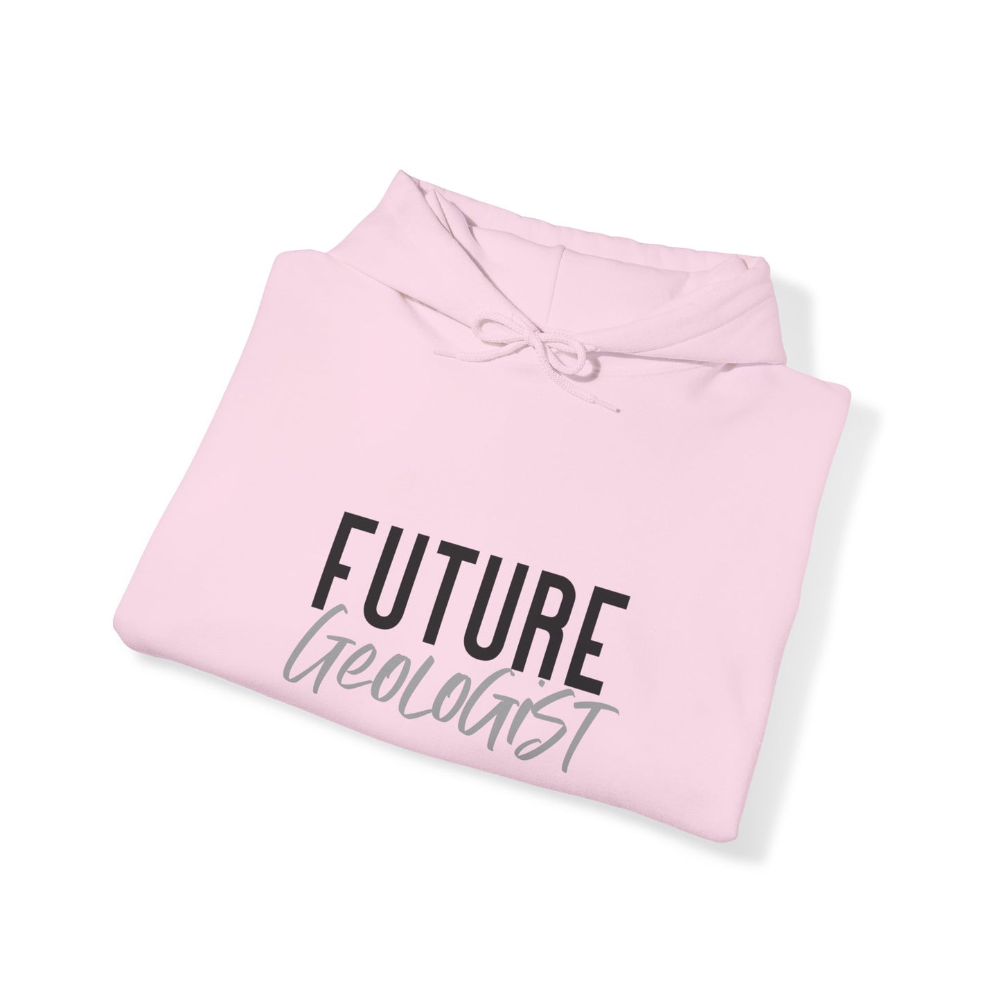 Future Professional Gifts Adult Hoodies