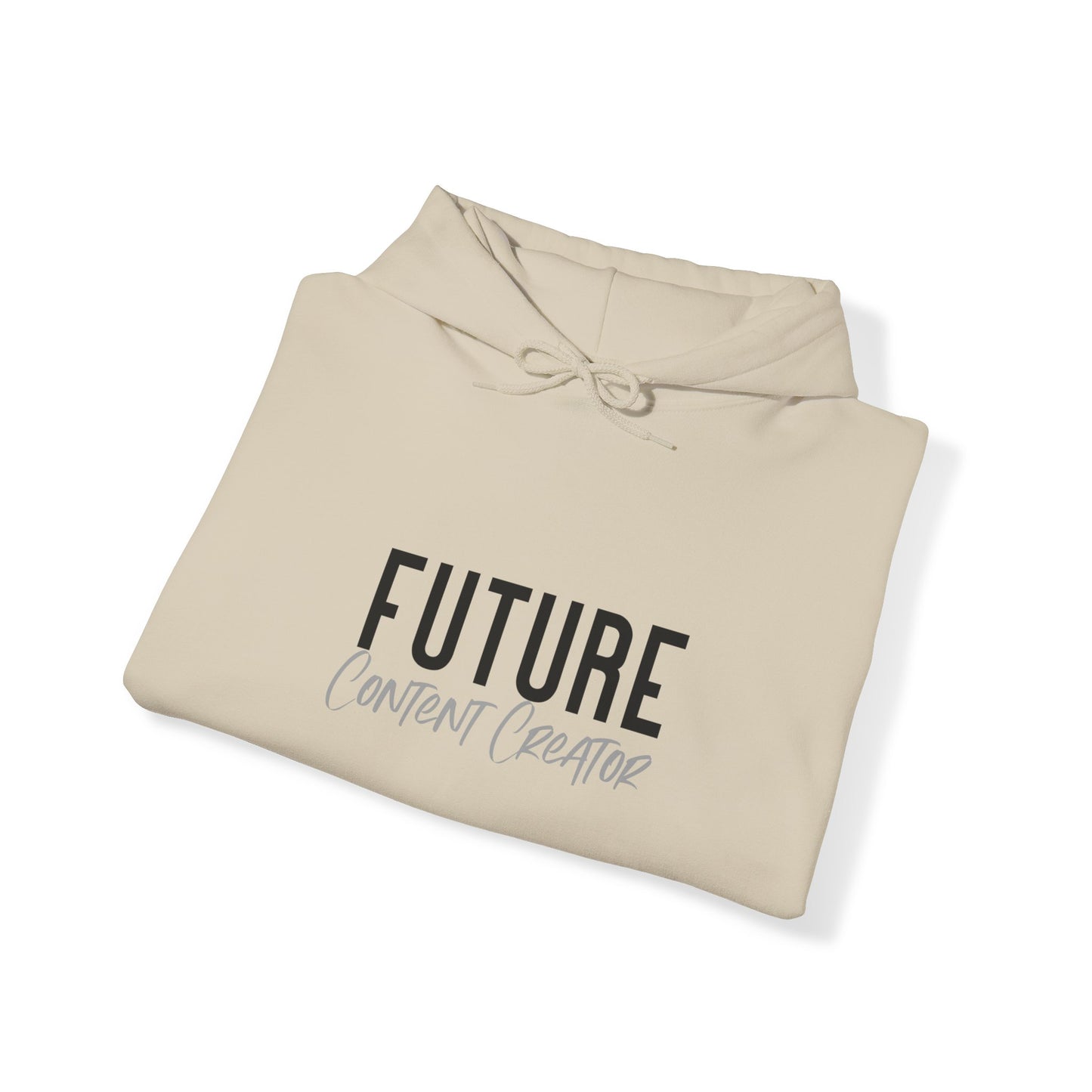 Future Professional Gifts Adult Hoodies