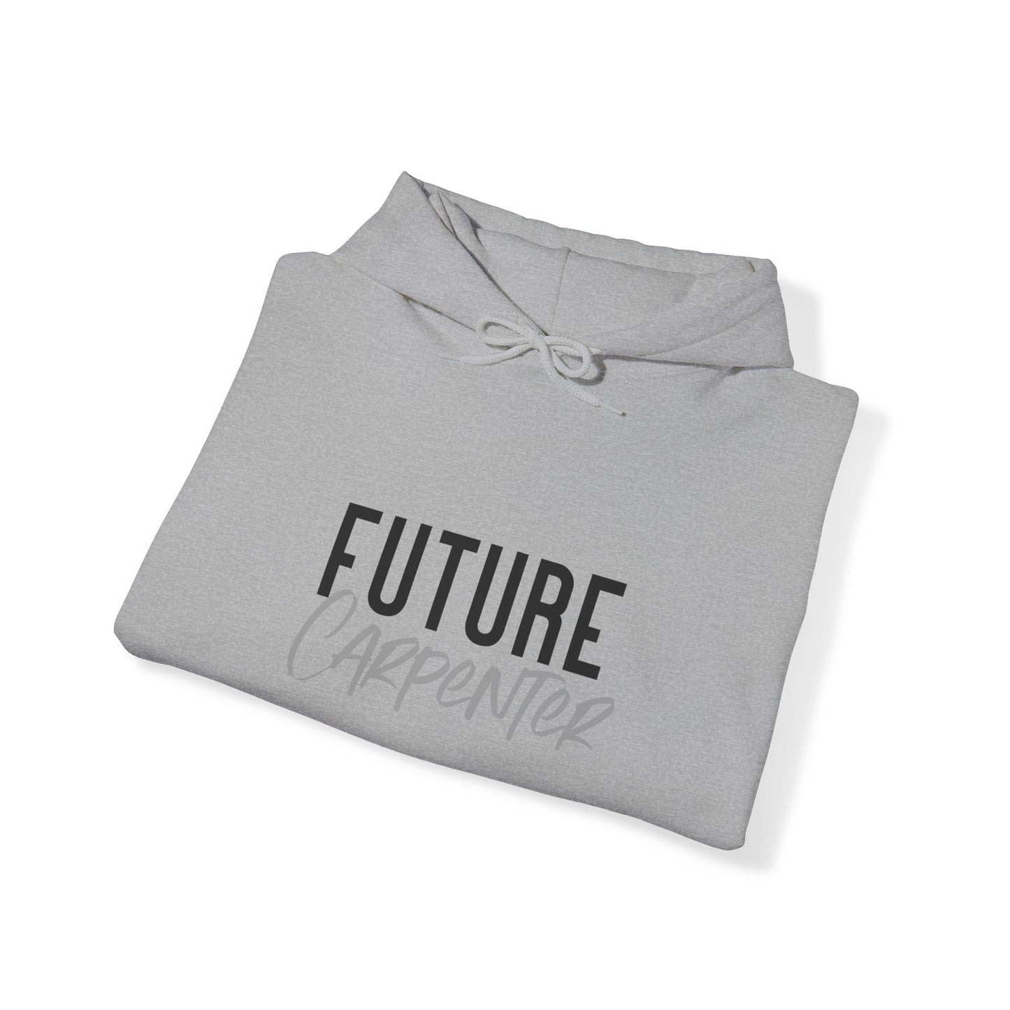 Future Professional Gifts Adult Hoodies