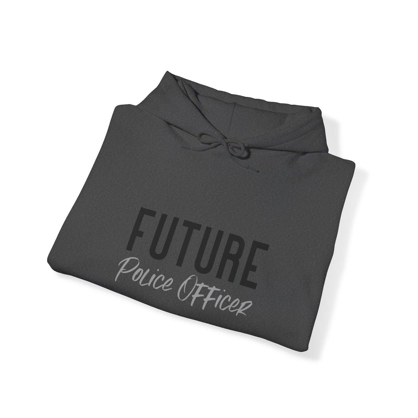 Future Professional Gifts Adult Hoodies