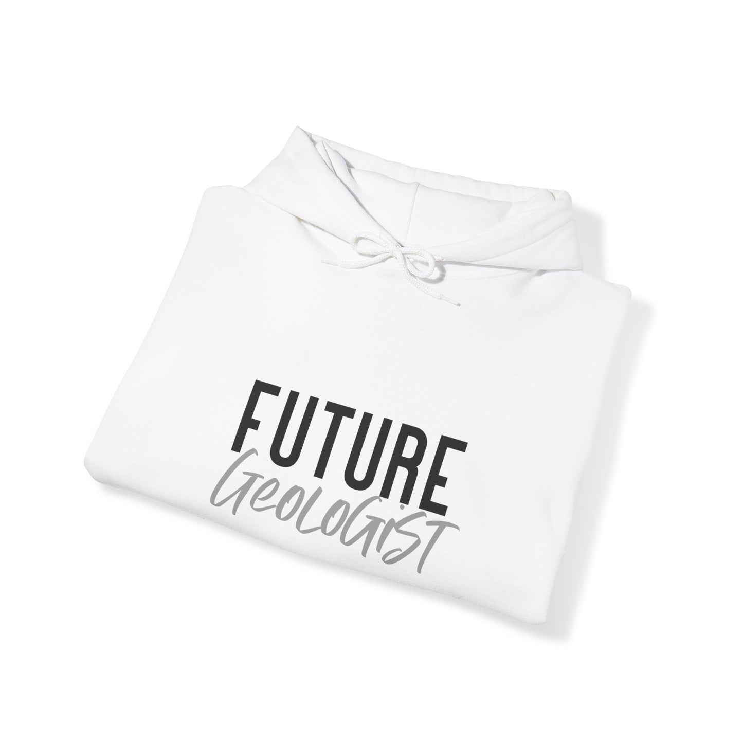 Future Professional Gifts Adult Hoodies