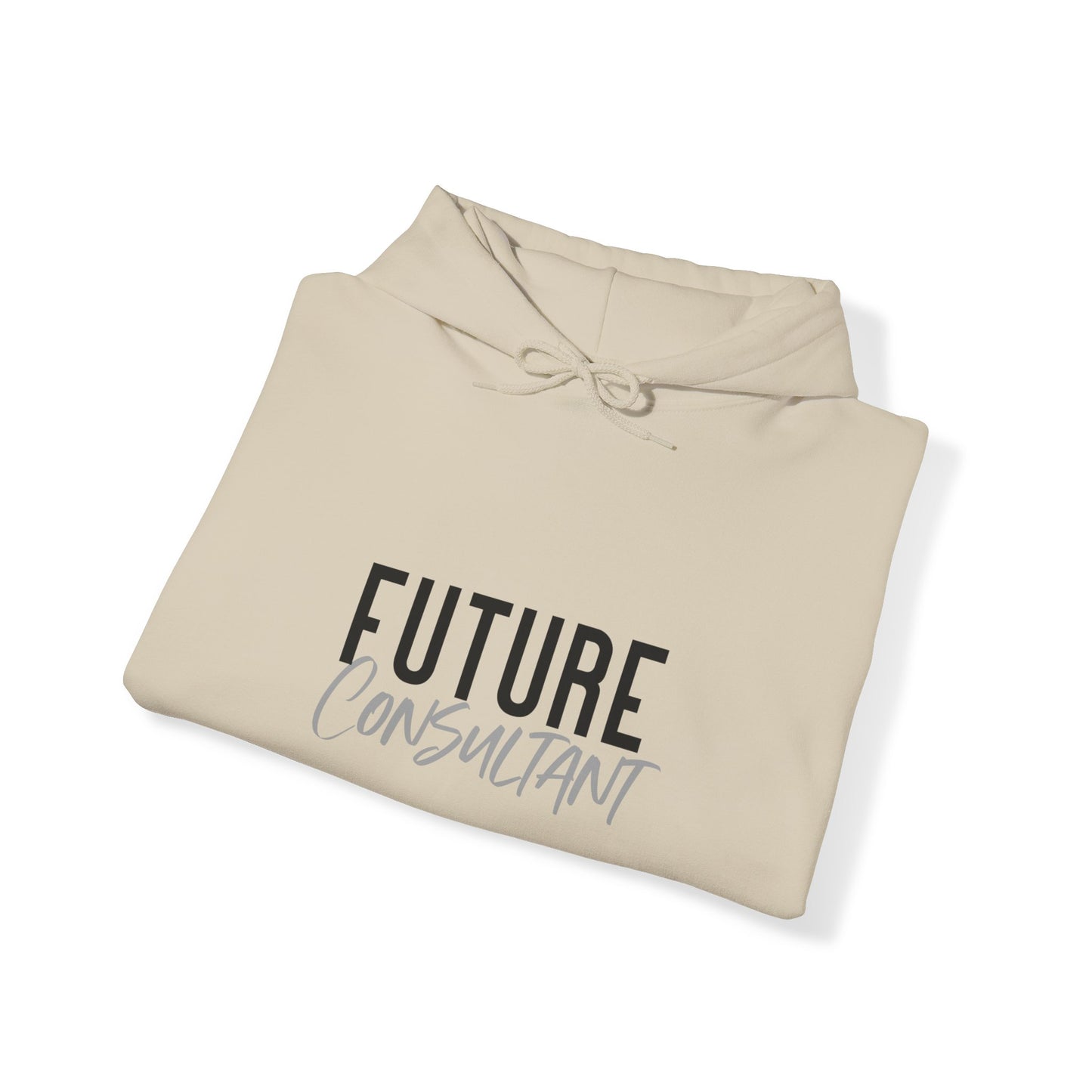 Future Professional Gifts Adult Hoodies