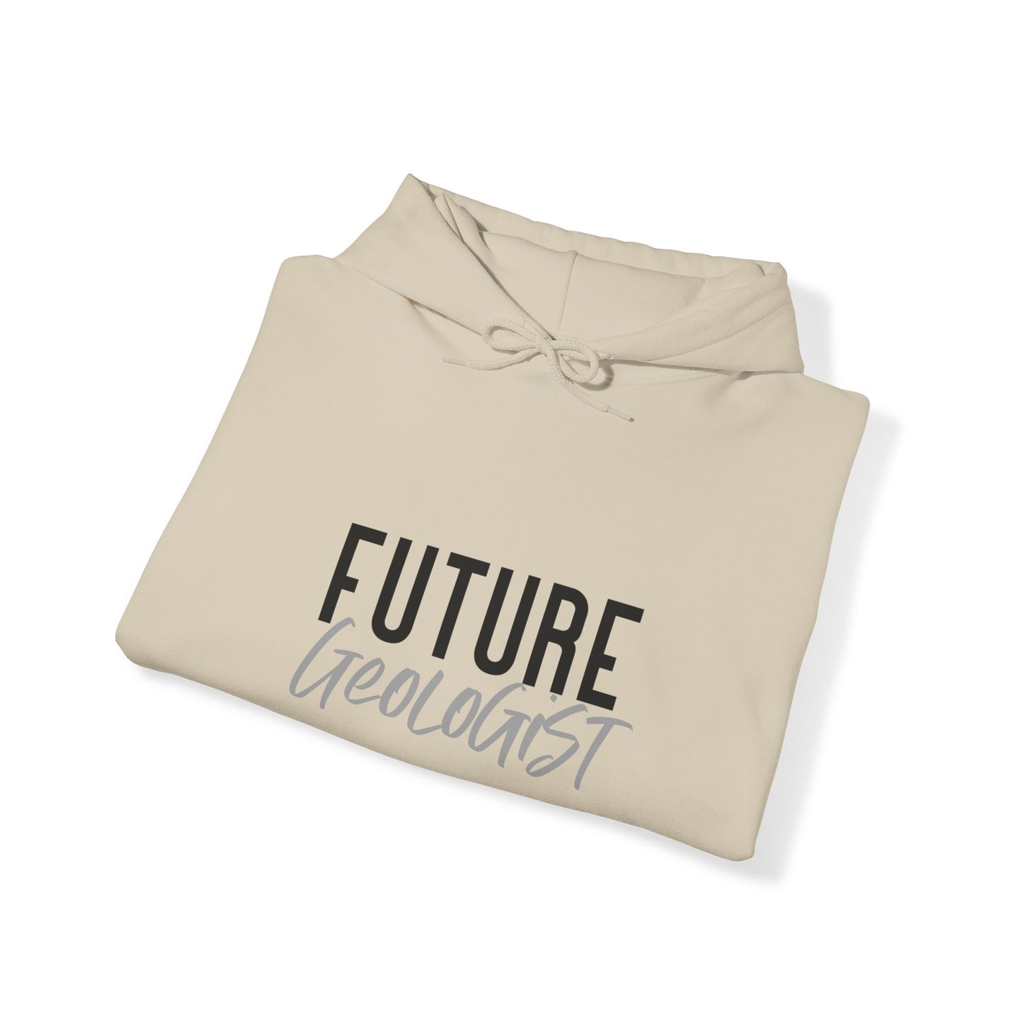 Future Professional Gifts Adult Hoodies