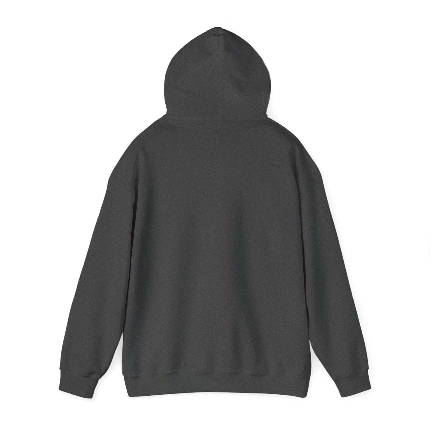 Future Professional Gifts Adult Hoodies