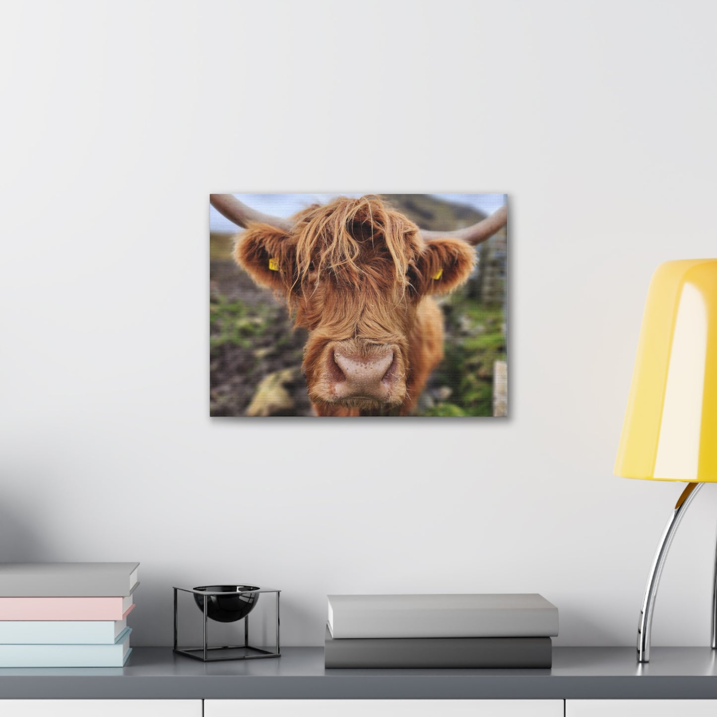 Highland Cattle Canvas Gallery Wraps