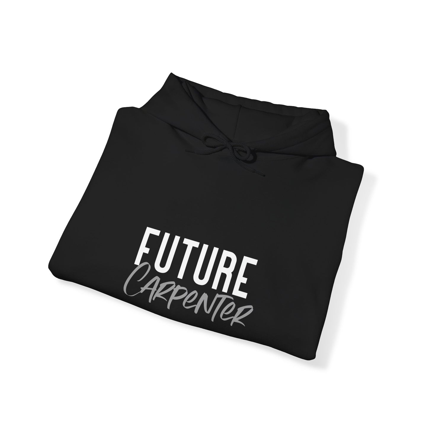 Future Professional Gifts Adult Hoodies