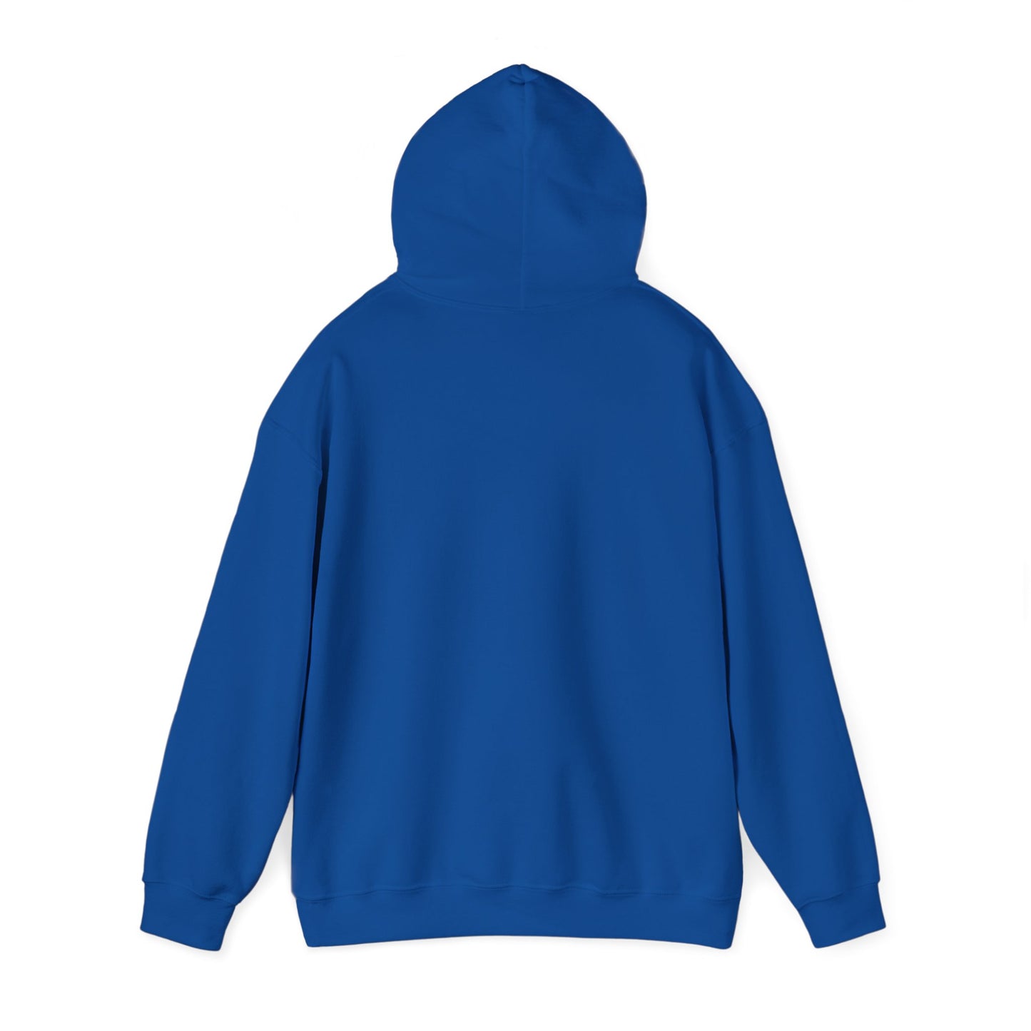 Future Professional Gifts Adult Hoodies