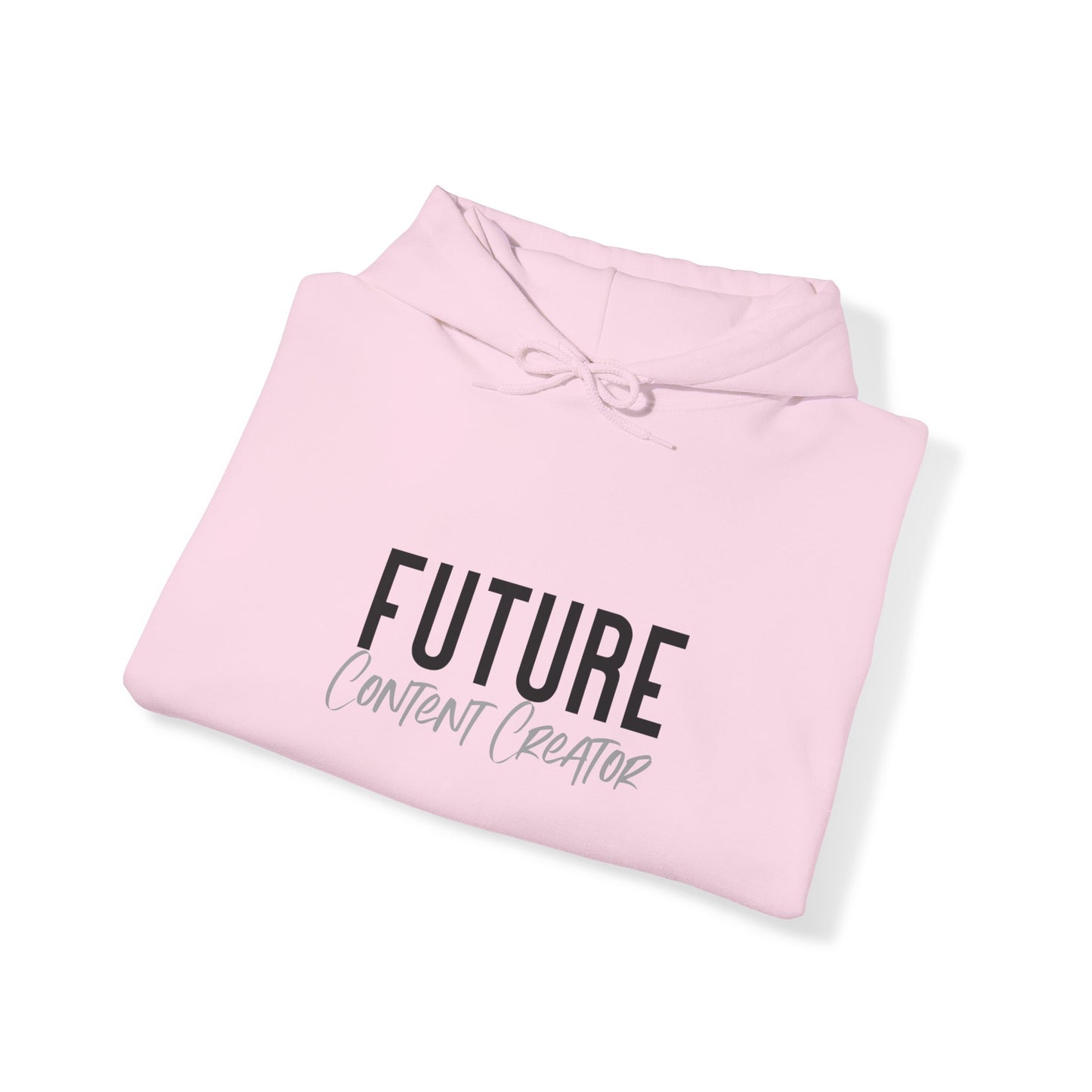 Future Professional Gifts Adult Hoodies