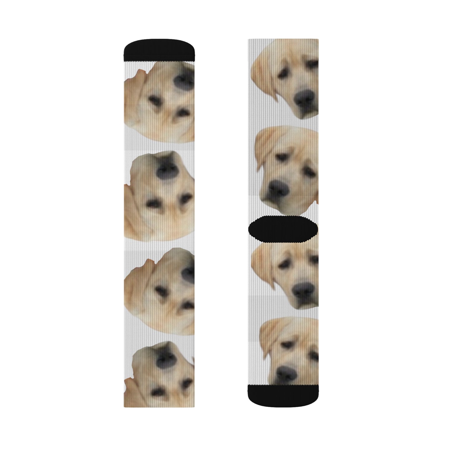 Personalized Photo Socks - Custom Dog, Baby, Family, and More