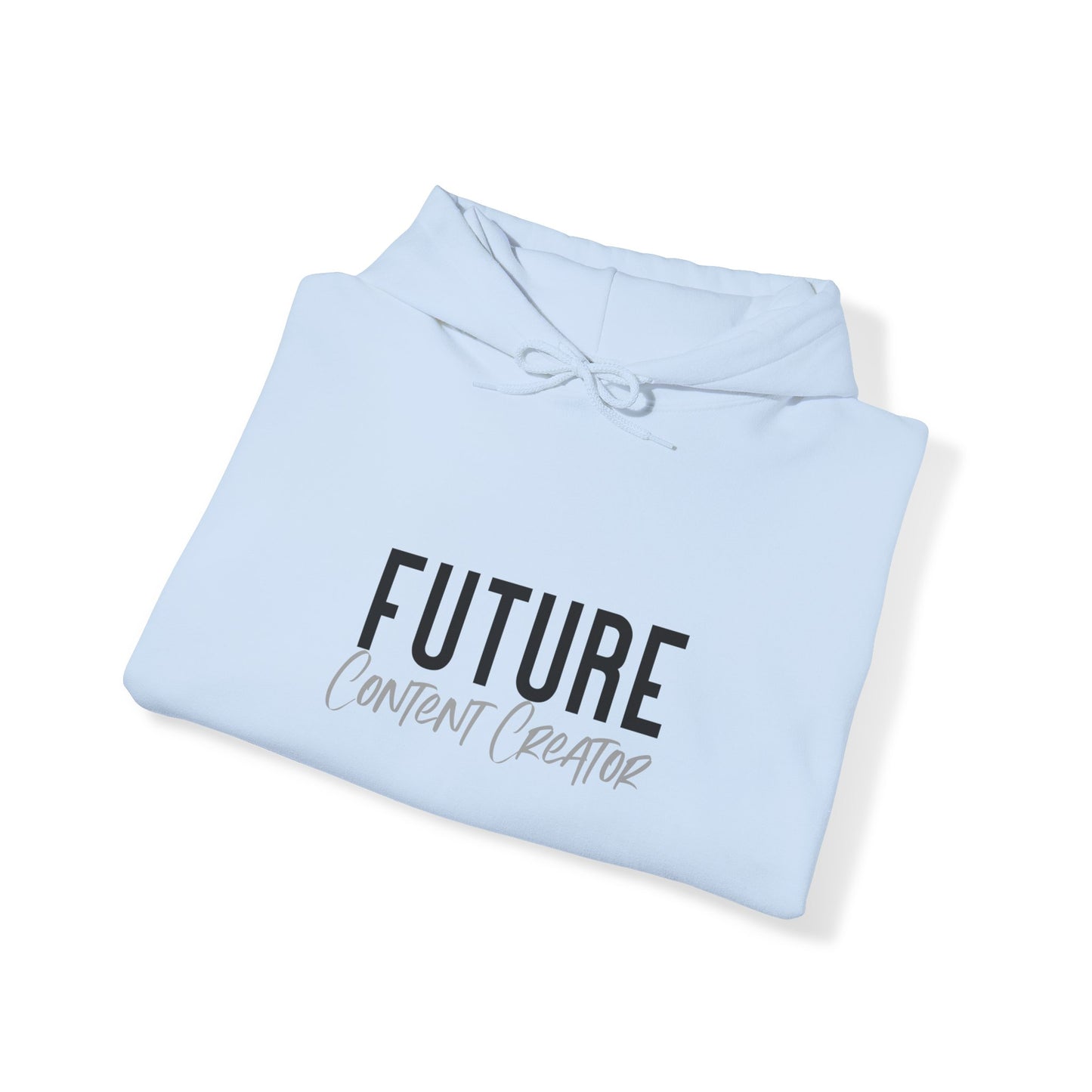 Future Professional Gifts Adult Hoodies