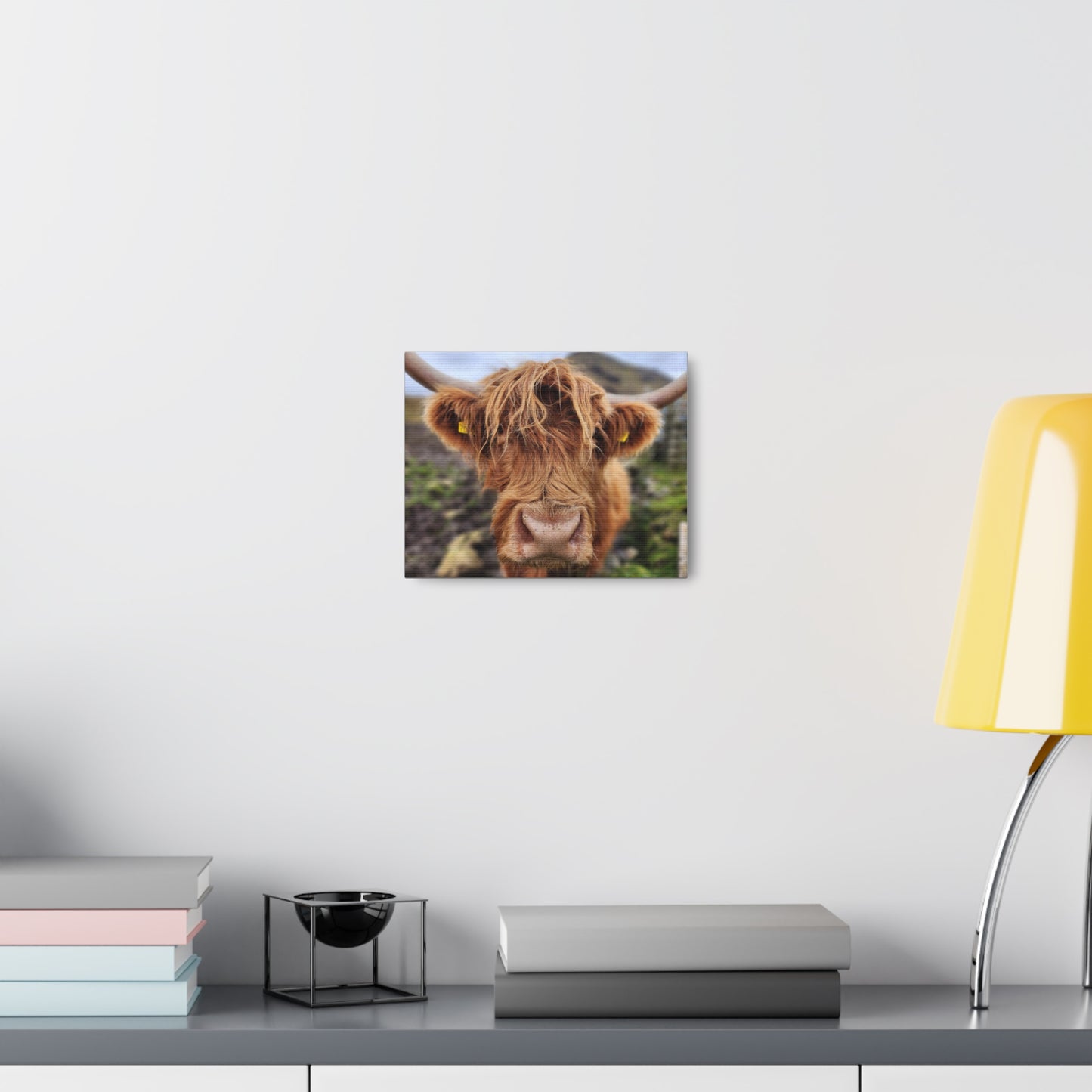 Highland Cattle Canvas Gallery Wraps