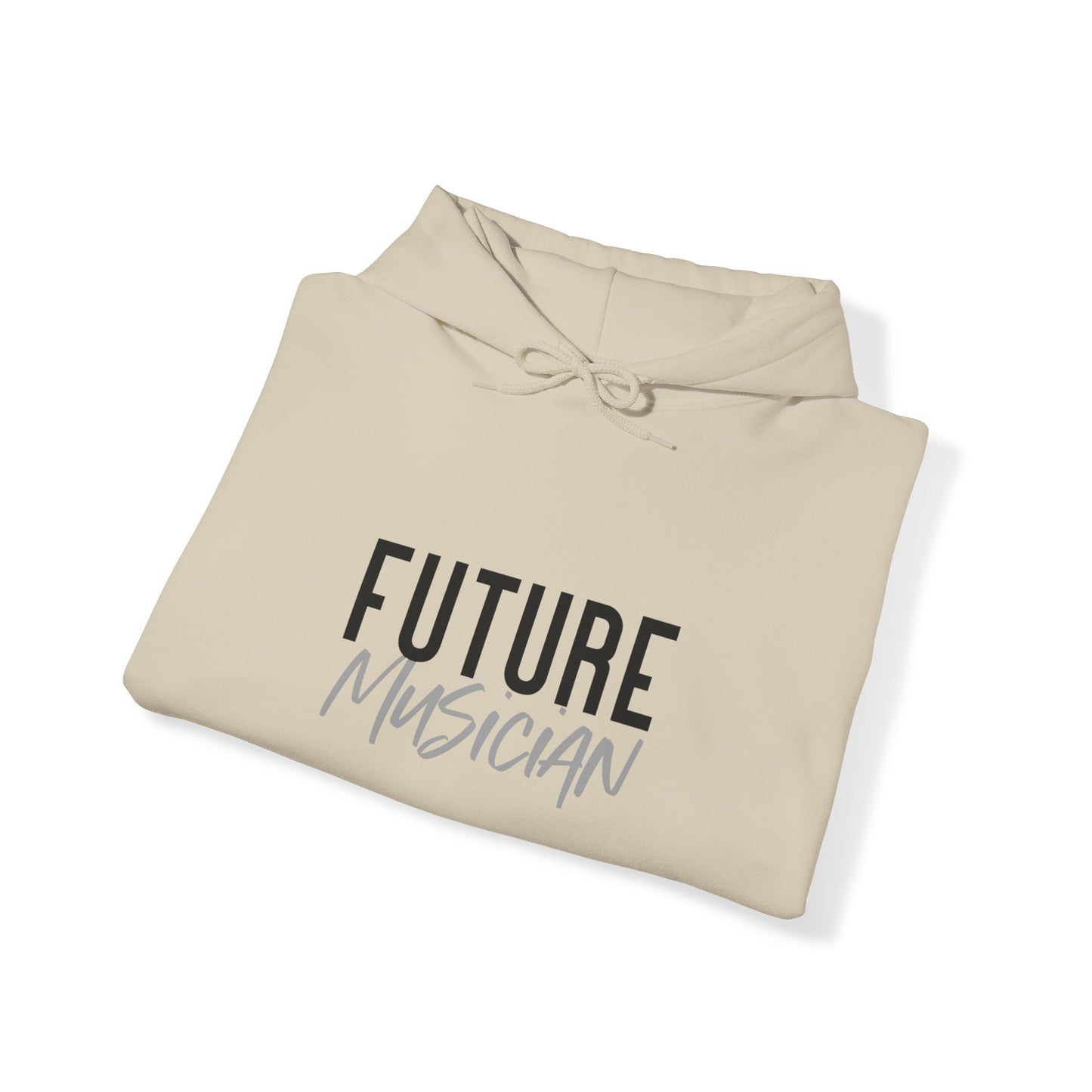 Future Professional Gifts Adult Hoodies