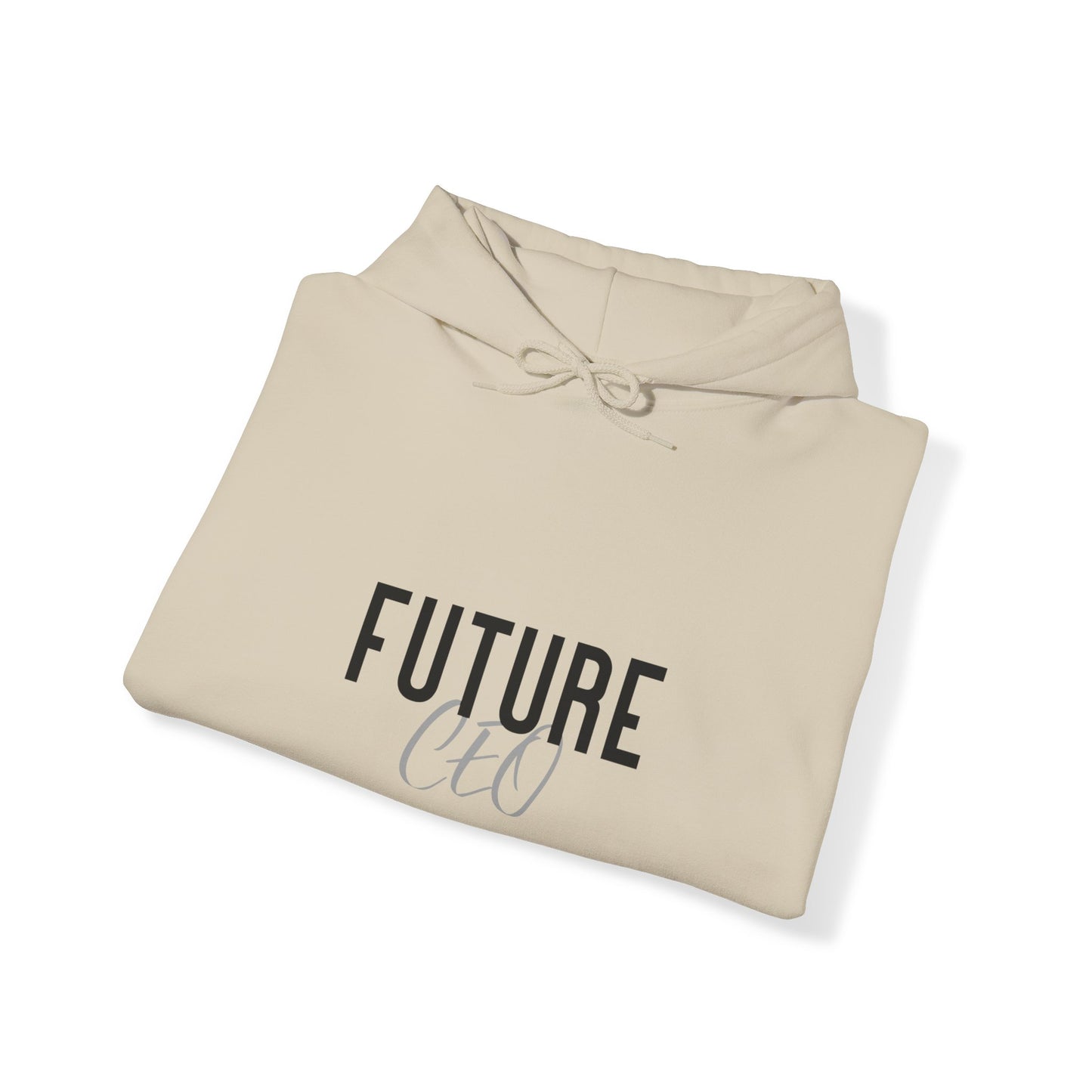 Future Professional Gifts Adult Hoodies