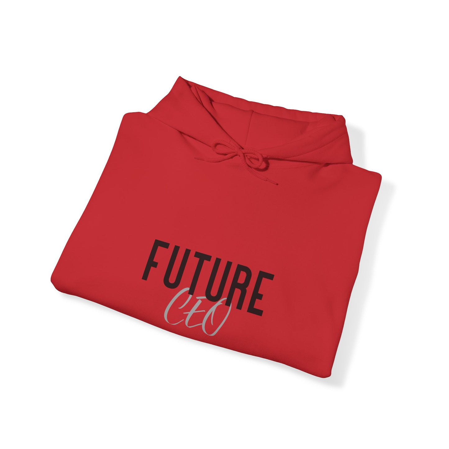 Future Professional Gifts Adult Hoodies