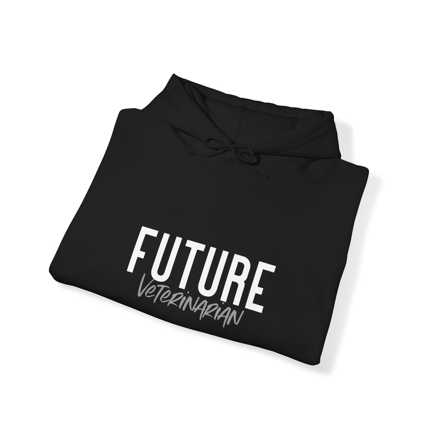 Future Professional Gifts Adult Hoodies