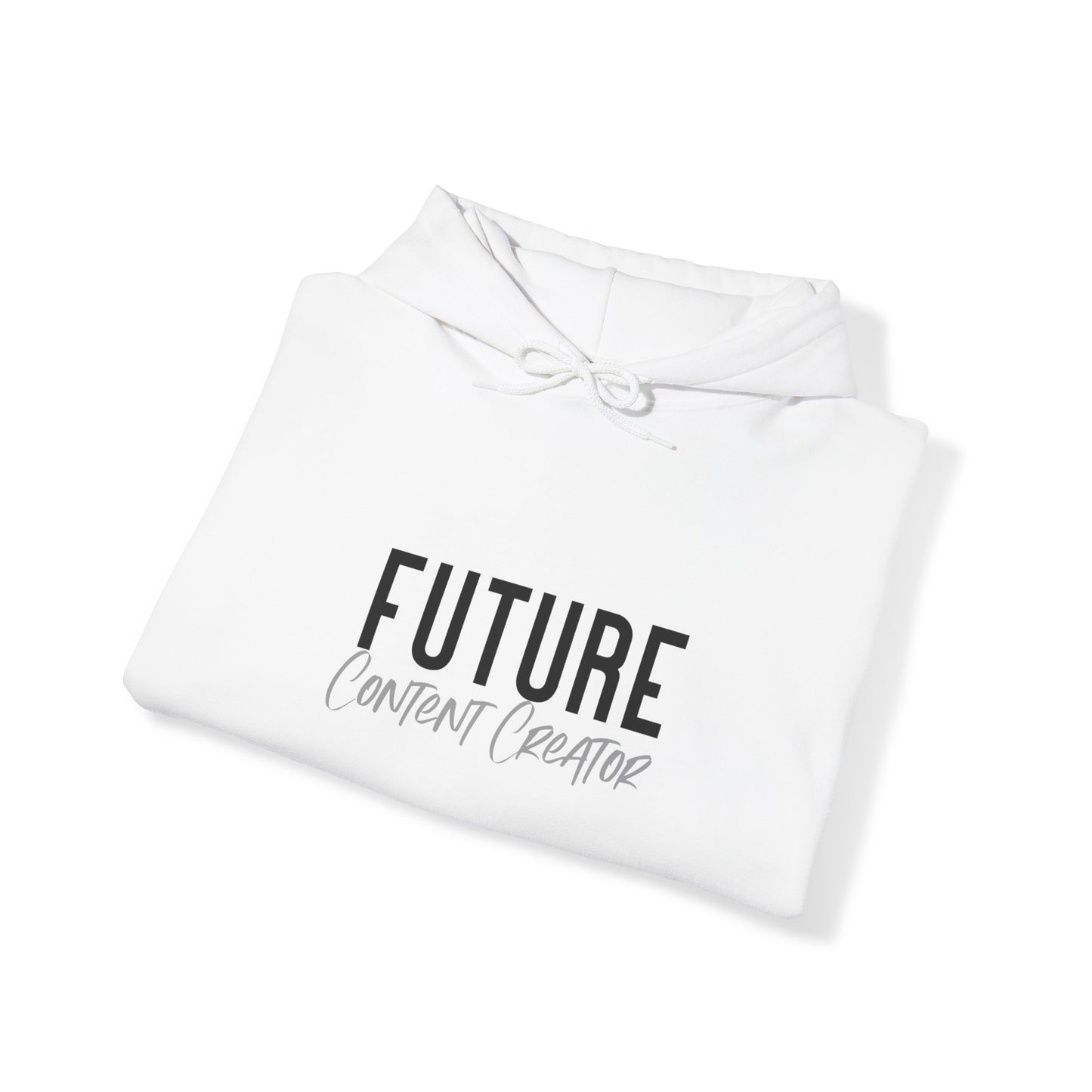 Future Professional Gifts Adult Hoodies